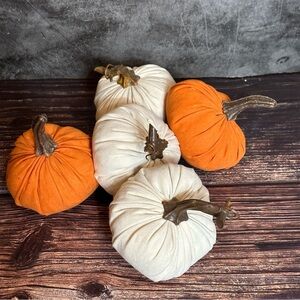 Target Original Mini Velvet Pumpkin Bundle of 5